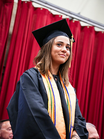 IVCCGrad17-294