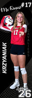 LP-VOLLEYBALL_24x72-2