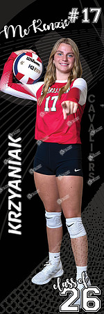 LP-VOLLEYBALL_24x72-2
