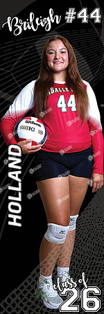 LP-VOLLEYBALL_24x72-8