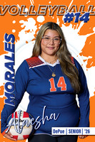 Volleyball- DePue 26-4