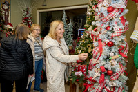 Elves Night Out - Spring Valley Nov 23, 25