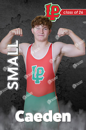 LP-Wrestling-24x36-4