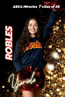 ASCA Banner 26 CHEER_DANCE-4