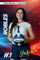 ASCA Banner 26 VB-2