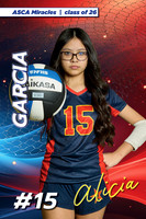 ASCA Banner 26 VB-8