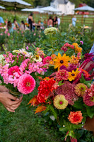 Besties & Blooms at Bornemann Flower Farm - 9-12-26