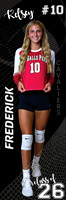 LP-VOLLEYBALL_24x72-4
