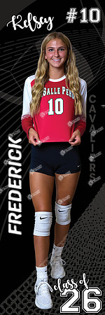 LP-VOLLEYBALL_24x72-4
