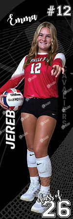 LP-VOLLEYBALL_24x72-6