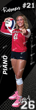 LP-VOLLEYBALL_24x72-