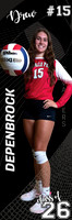 LP-VOLLEYBALL_24x72-7