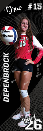 LP-VOLLEYBALL_24x72-7