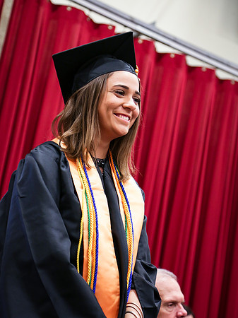 IVCCGrad17-295
