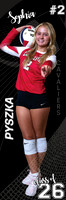 LP-VOLLEYBALL_24x72-5