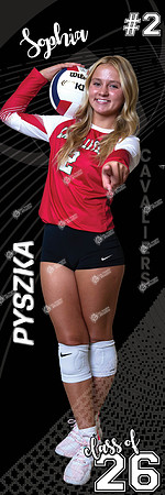 LP-VOLLEYBALL_24x72-5